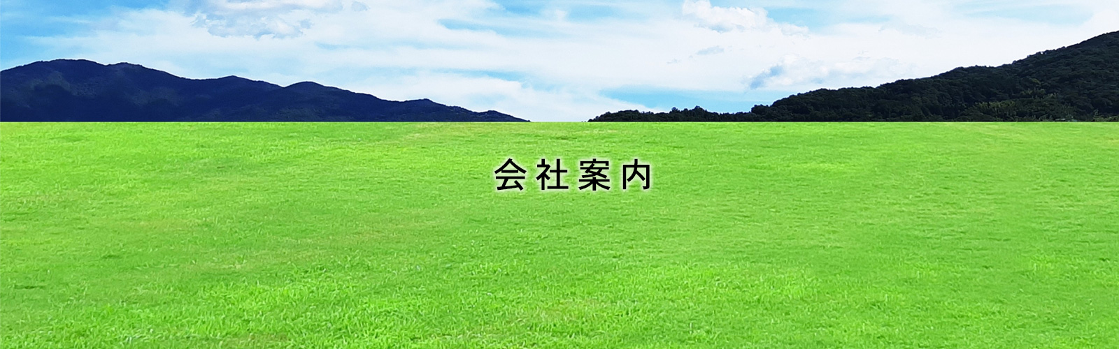 会社案内イメージ