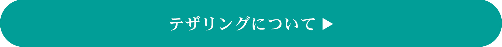 ポータブルナビ選び方ガイド機能比較表