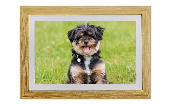 DMF101W 10.1インチ液晶 デジタル写真たて